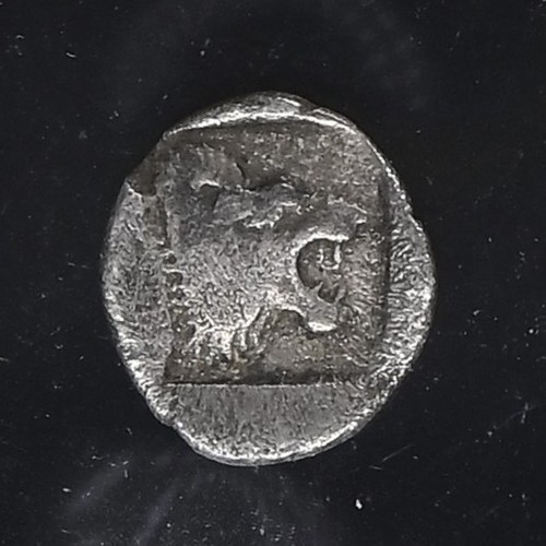 Assus troas con grifone - troas,