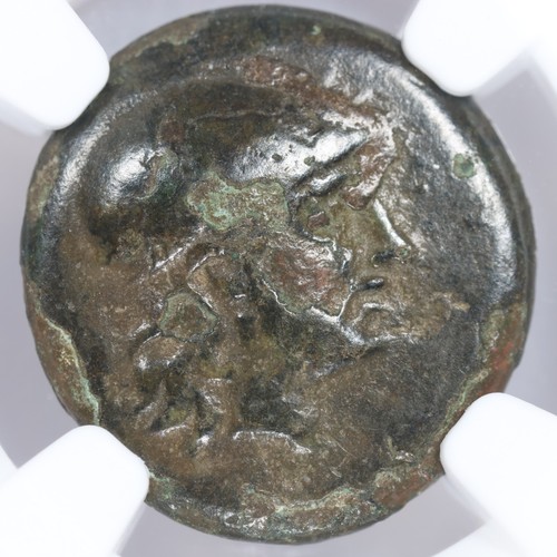 Assus ae17 troas greca - troas,