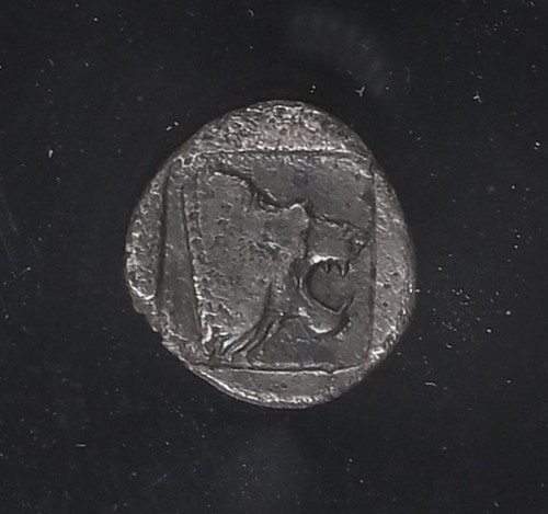 Assus troas con - in, e