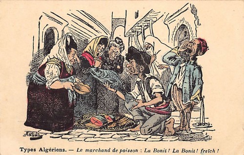 Algérie illustrateur assus - illustrateur,